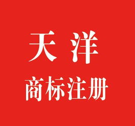 南通商标注册全流程解析 一个商标的注册费用与专业知识产权服务